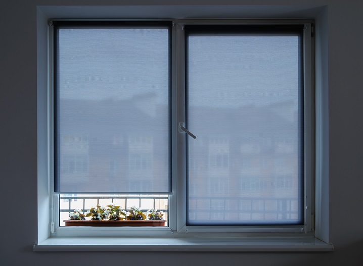 iStock-1012439512.jpg